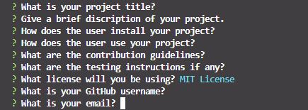 Image of propmts from the read me generator application